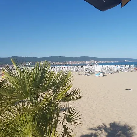 Rose Nesebar Apartament *